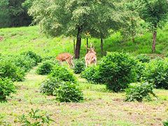 -承德避暑山庄景区