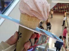 山楂冰淇淋-野人先生现做冰淇淋(西安赛格店)