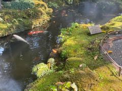 -Chom Cafe and Restaurant