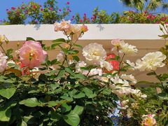 -人民公园(罗湖区)