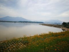 -福建鲤鱼洲酒店