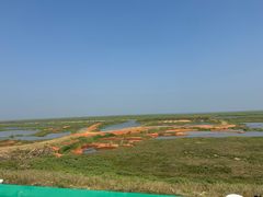 -鄱阳湖国家湿地公园