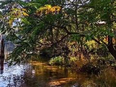 -玉渡山自然风景区