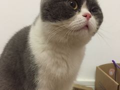 -柯达靓之彩影像网络(明瓦廊店)