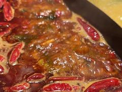 -朱光玉火锅馆(正弘城店)