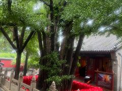 -红螺寺