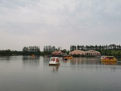 -上海长兴岛郊野公园