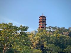 -红花山公园