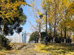 -月湖风景区