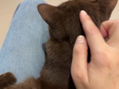 -平行世界·猫咖(首经贸店)