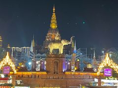 -西双版纳原始森林公园