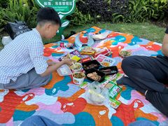 -铁山坪森林公园