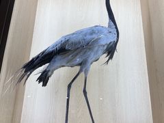 -中国湿地博物馆