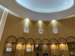 -深圳美莱医疗美容医院