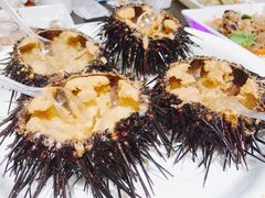 大海胆-苏大嘴海鲜牧场(奥林匹克店)