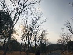 -牛岗山公园