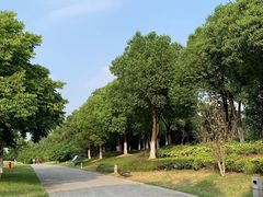 -九里河湿地公园