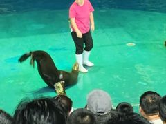 -烟台海昌鲸鲨海洋公园