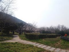 -云龙山