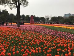 -大宁灵石公园西门票处