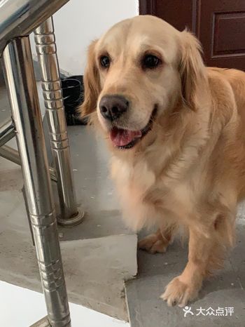 只要待在你身边就满足了～不开心的时候它在