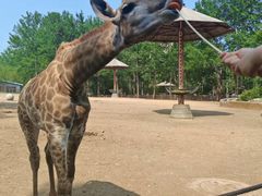 -大连森林动物园