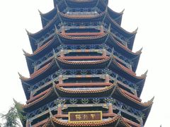 -铁山坪森林公园