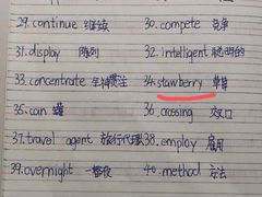 -英孚教育青少儿英语(长宁来福士中心)