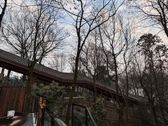 -岳麓山风景名胜区