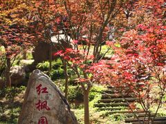 -广州市帽峰山景区