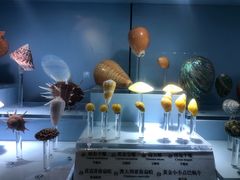 -温州博物馆