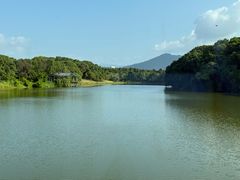 -福建鲤鱼洲酒店