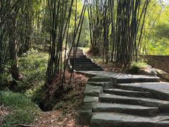 -富乐山