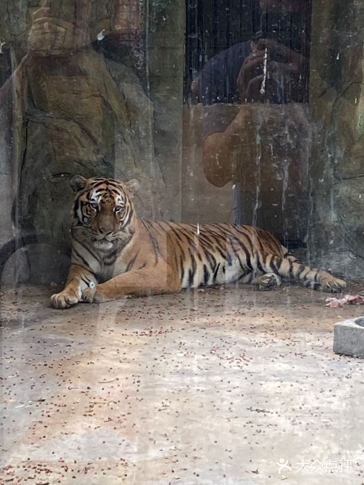 中山公園動物園圖片