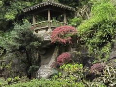 -南山植物园