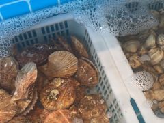-锅老头铁锅炖•大锅蒸汽海鲜(韩乐坊店)