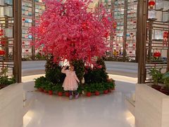 -大连金石滩绿发温泉假日酒店