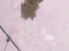 -古龙峡云天玻霸