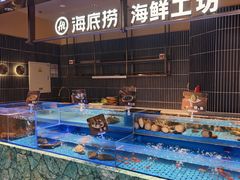 -海底捞火锅(长宁路龙之梦店)