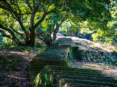 -宁波市保国寺古建筑博物馆