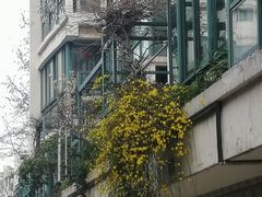 -爸爸糖手工吐司(苏州环球188店)