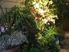 -春暖花开(西溪店)