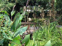 -武汉紫薇都市田园