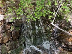 -王顺山国家森林公园