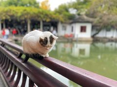 -西园戒幢律寺