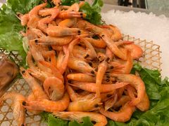 -索菲特酒店·海鲜自助 ·聚餐厅