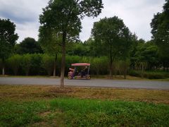 -南湖湿地公园