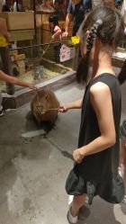 -造物庄园 萌宠纪(苏州湾歌林公园店)