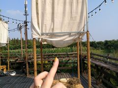-乌村