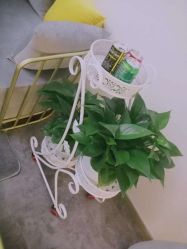 -纹绣阁·纹眉眼唇品牌